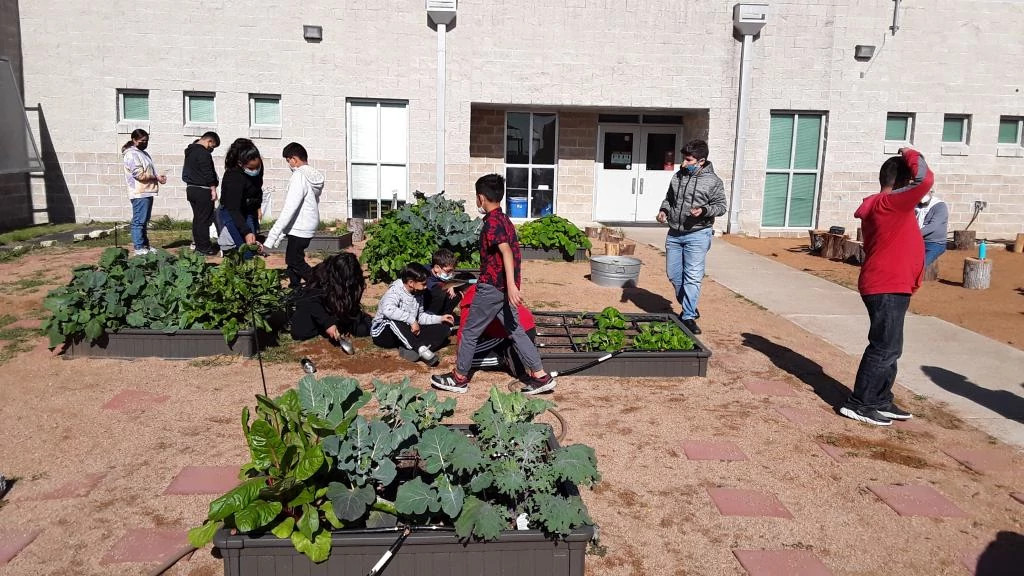 overton produce garden.jpg